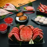 ショップチャンネル「期待のニュースターデイ」「期待のニュースターデイ」